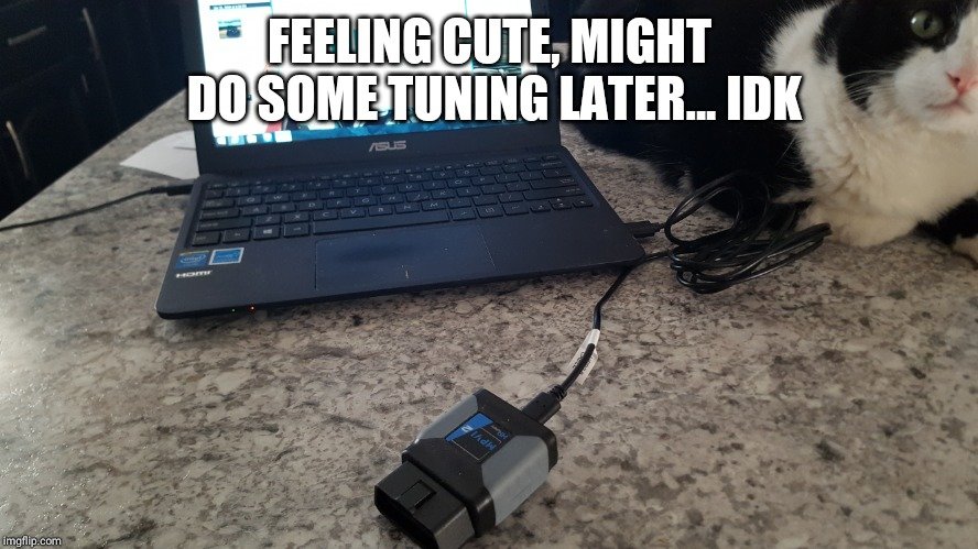 2z52cc.jpg