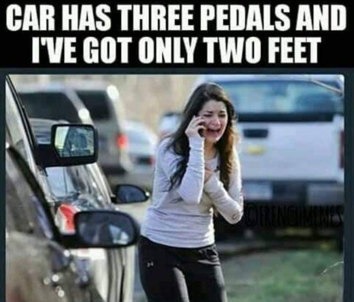 3 2.jpg