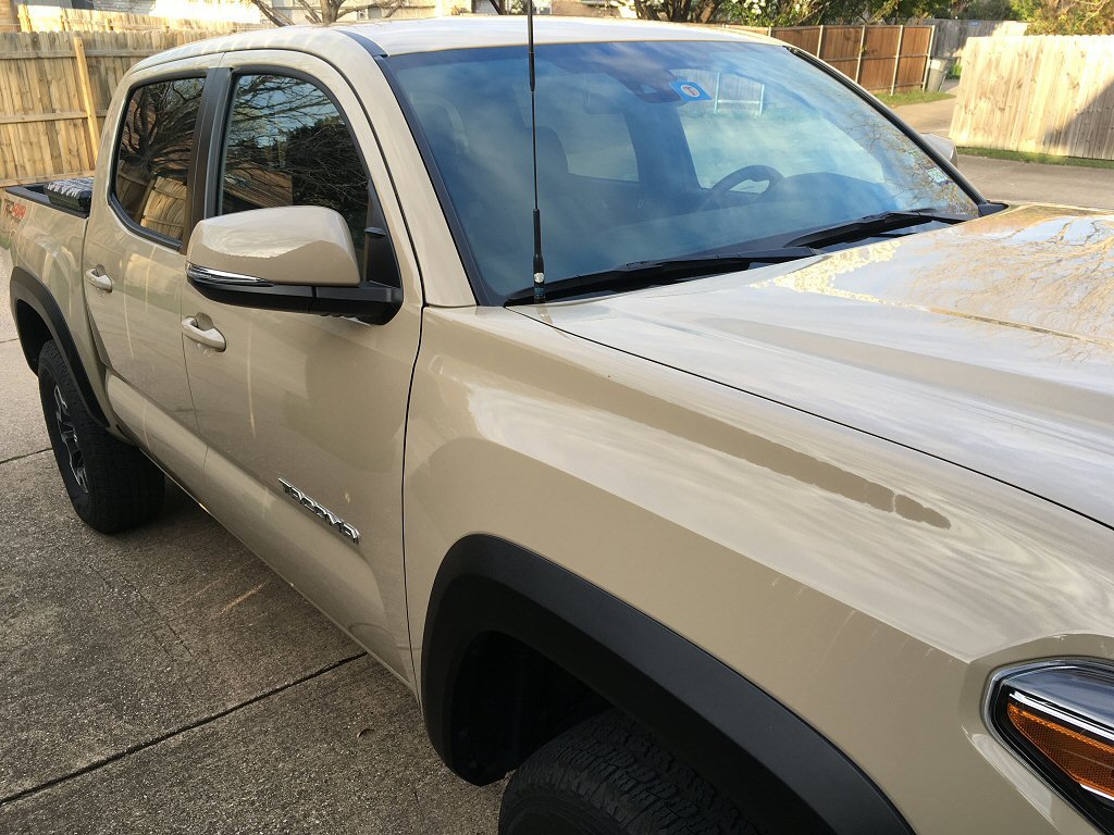3.7.20waxed3.jpg