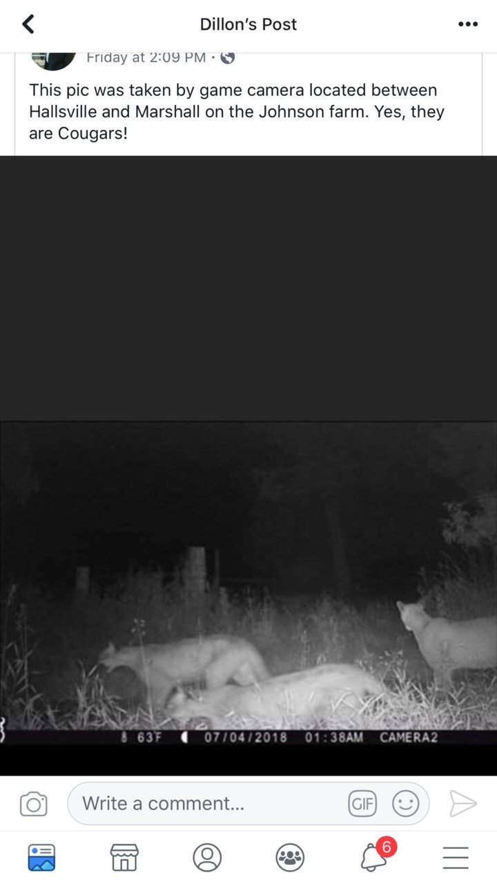 3 on the hunt in deep East Texas.jpg