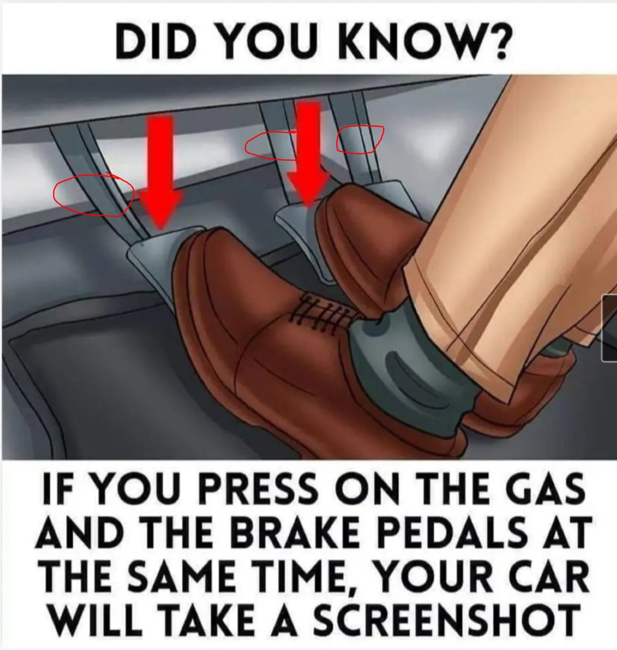 3 pedals.jpg