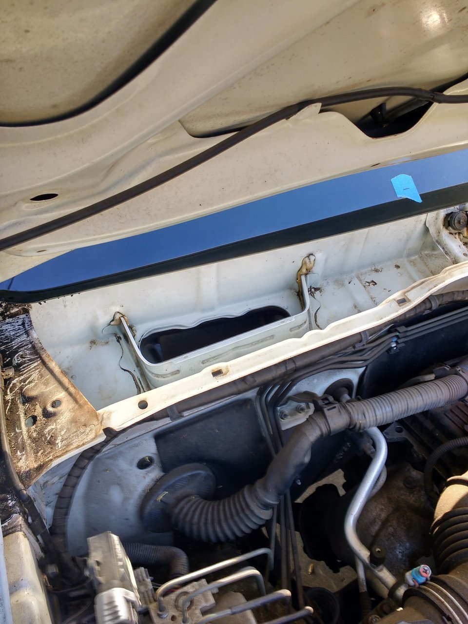 3. Rat nest cleaned out.jpg