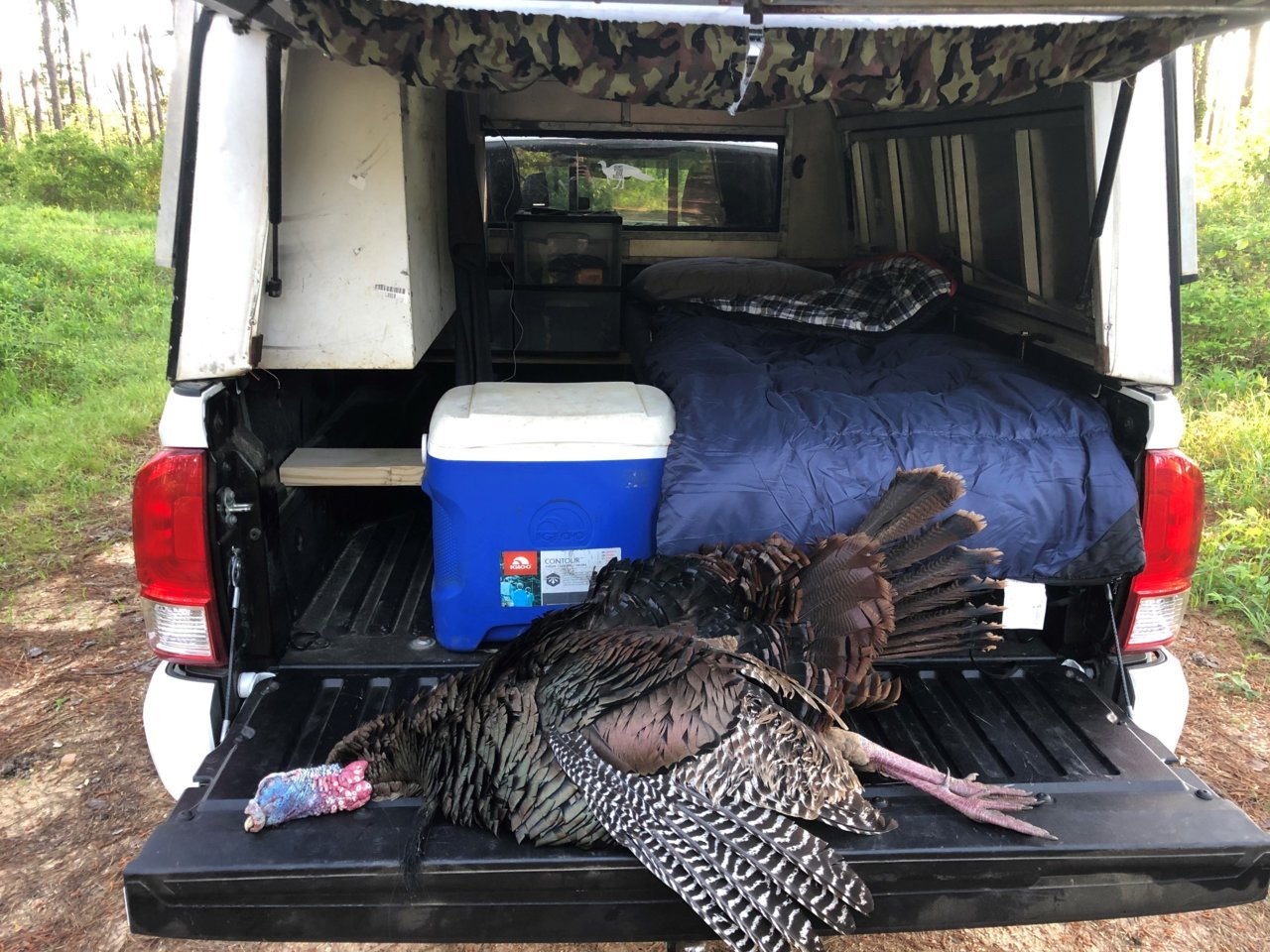 #3 tail gate.jpg