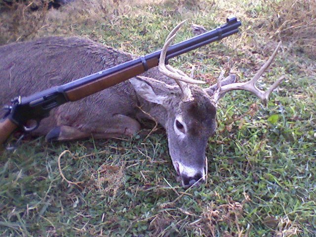3030deer3.jpg