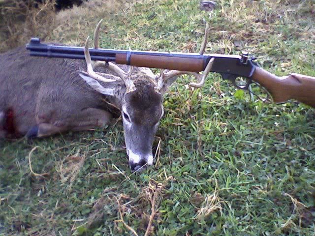 3030deer_4fe23d9aa47bafe63aa5133b3aaf6da976b6e9f4.jpg