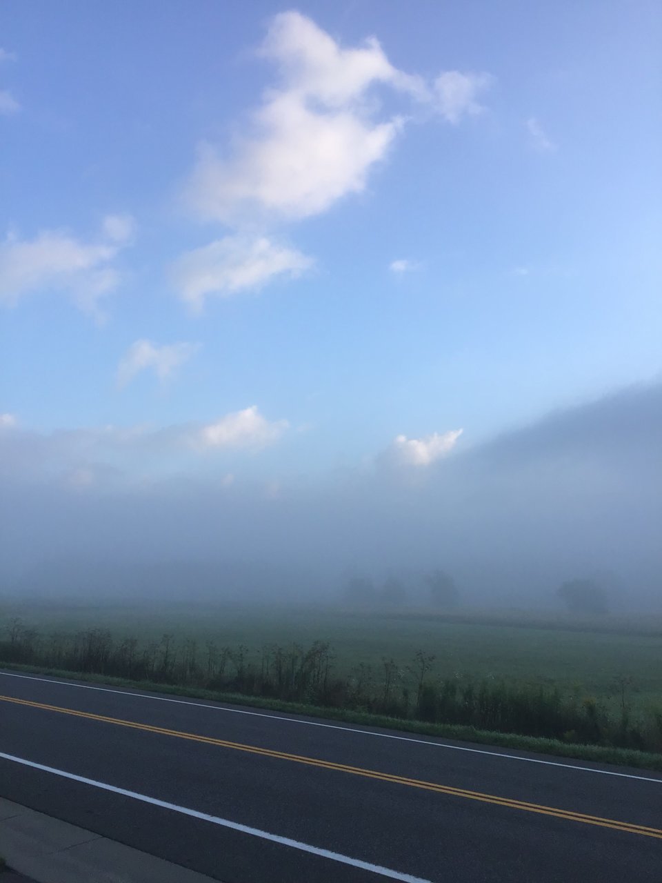 3049B386-6B44-4290-919E-EE8F8867D02F.jpg