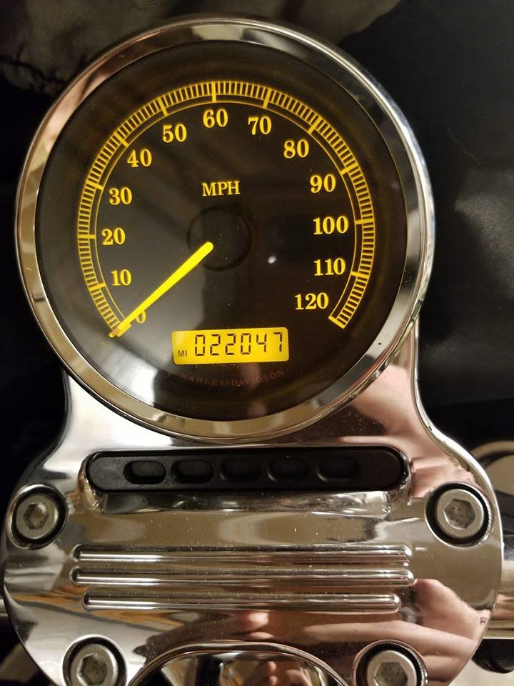 30689068_1439663599513294_261823790525360171_n.jpg