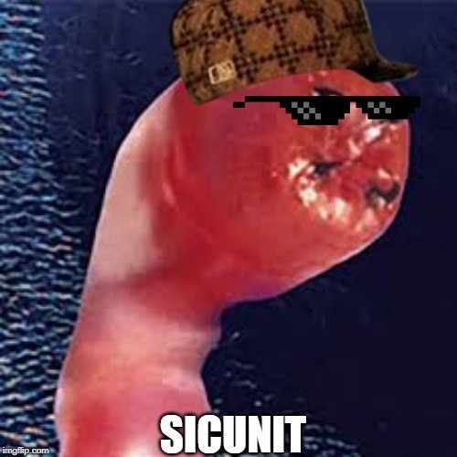 30yg0x.jpg