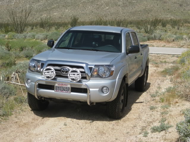 310Borrego002_4c84ba290905448c11c289146aeda90cb4d1708a.jpg