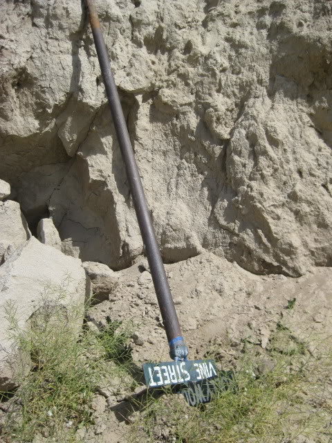 310Borrego004_3d186e07e9f412868c0e022bd3a484ed6fa47567.jpg