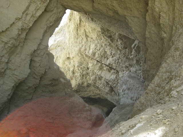 310Borrego005_e42f8b499c9145c3dd0d35be8c25608ab8d0cf90.jpg