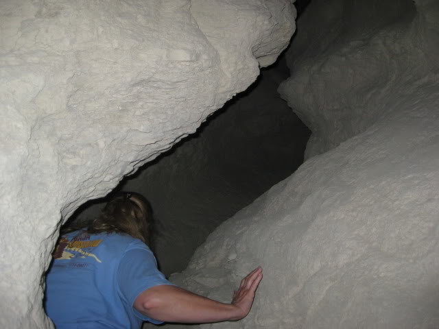 310Borrego008_57207eddfe16d13a5229922d0888bb103605249e.jpg