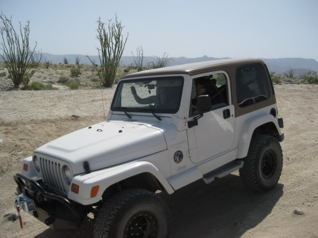 310Borrego023_d6ff7ba46bf0c5e82f7ffb57ee622e2d62711d4e.jpg