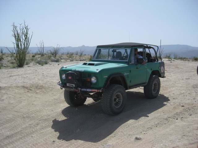 310Borrego025_7535678b0bf227bb7d93e843b8b6f687c55eb61a.jpg