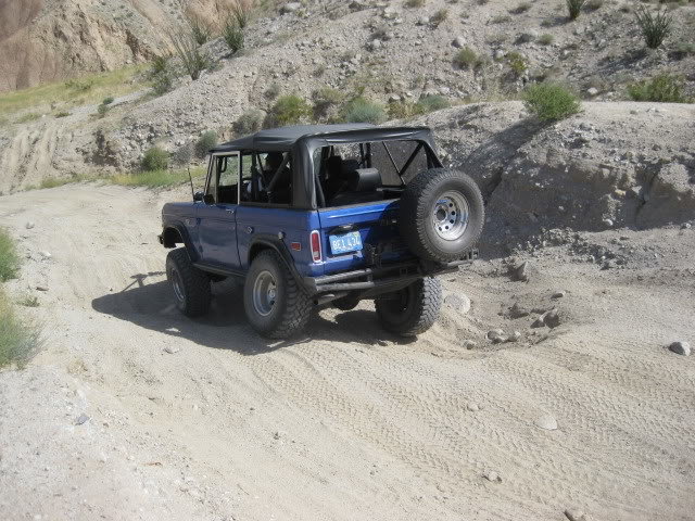 310Borrego027_c9490f09cece1d5d38f324493cfc3bd9b596959c.jpg