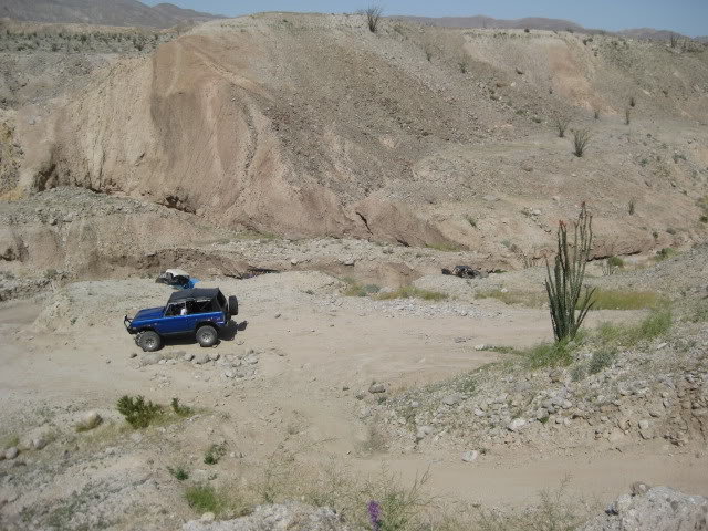310Borrego028_c52231d61f7cd258910b763d0020bbdb5360e3f1.jpg