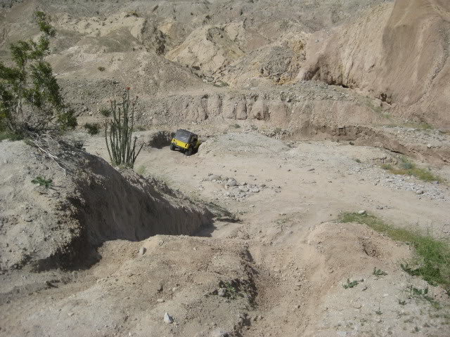 310Borrego030_5831bc248dc09cbb5c892cd23f77318b250fdcbc.jpg