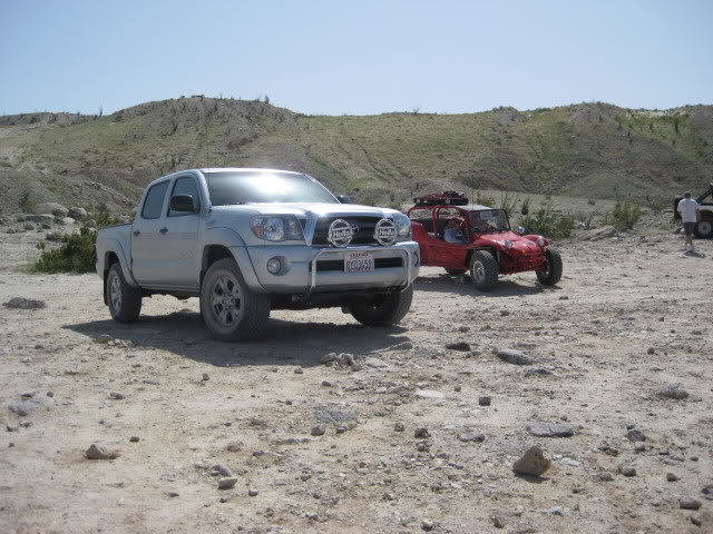 310Borrego031_f3850f3aca9b152db71fb57151c54ba9130baeaa.jpg