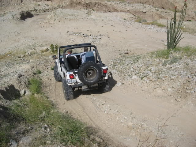 310Borrego033_0c2c423dd8ab5f4423b5dd0249ed7c9323804b30.jpg