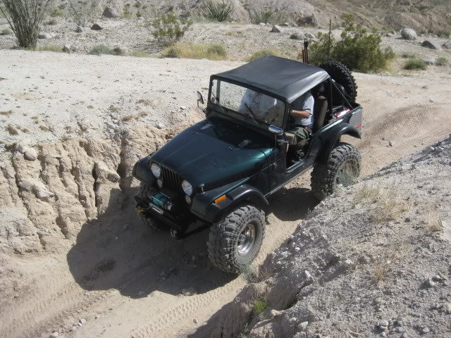 310Borrego035_5f5a33cfcc5fd4f5050e49c6b3fffd9c4fac4cb4.jpg