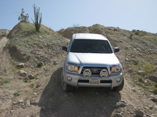 310Borrego039_3a6d8e122f0af101a4667ebe2ca9c4023d35716c.jpg