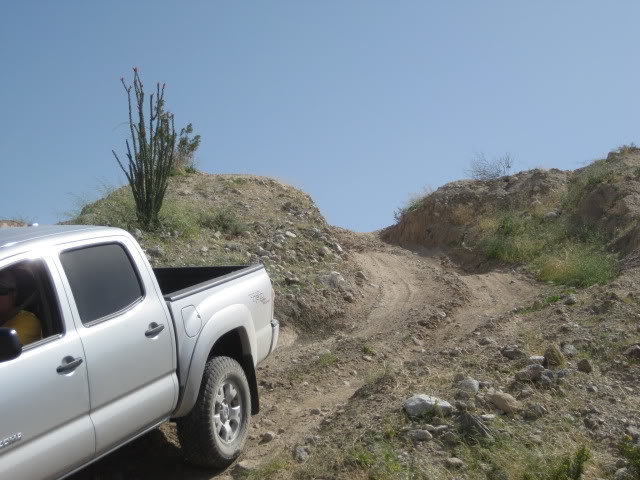 310Borrego041_9531047062a716870dd24f39f102743dee11290c.jpg