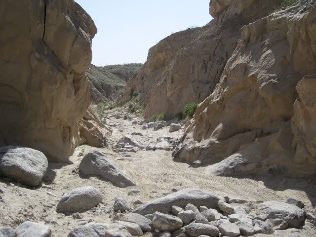 310Borrego051_0df3ca3e3502b067150ea7be8a626030b95dd1dd.jpg