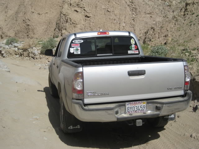 310Borrego052_e7b8c0beee5045896b0d9ee0e138aef32888b8db.jpg
