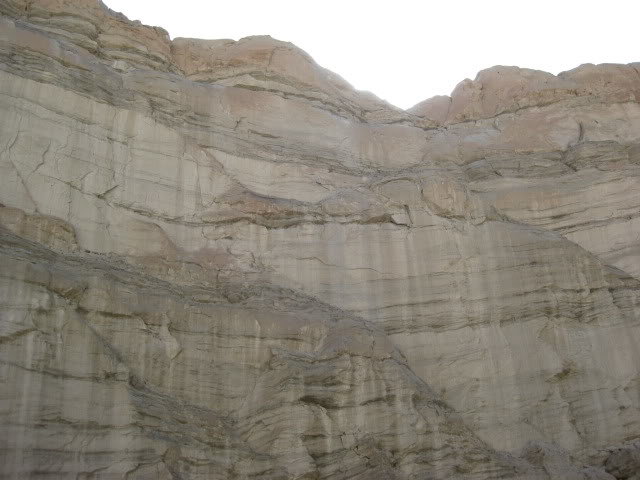 310Borrego053_10ffbbc5fba753a4510a86d97f66ff33f847eb80.jpg