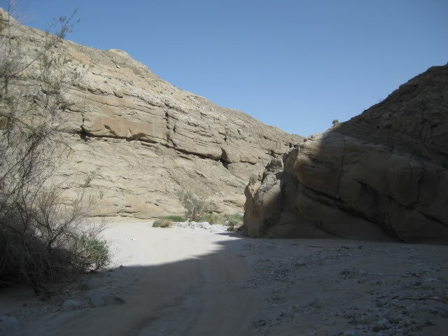 310Borrego054_3004397066fc85af9484adce57b34ea65dd588e1.jpg