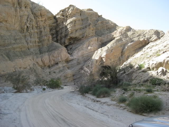 310Borrego055_dd1d9a248feb27b80cd00b71b5aac0cfdb5d8c42.jpg