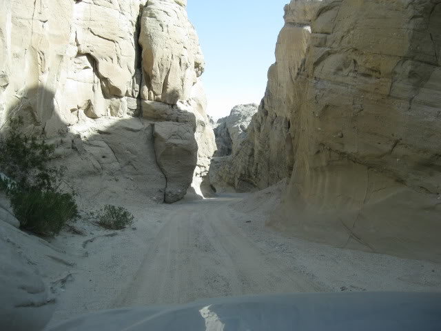 310Borrego056_224771cc5b0a39a4b10a03a82925554145e82e11.jpg