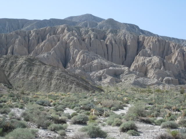 310Borrego061_777c1298abffb6e7a688f4784b707528348217f9.jpg