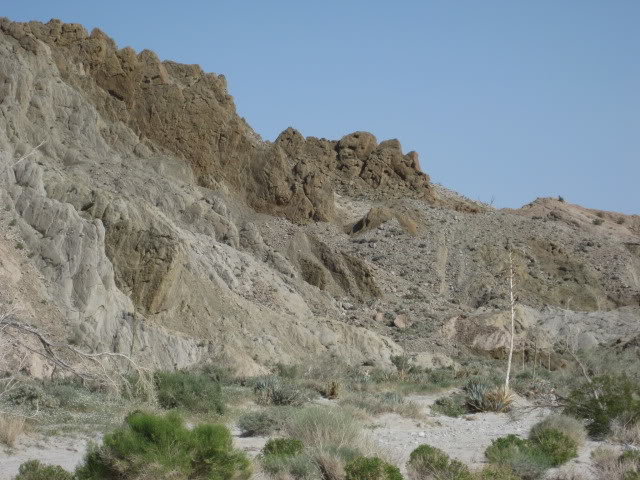 310Borrego062_705c09c4709acf8ee879b82a8cea77d4b0e857cf.jpg