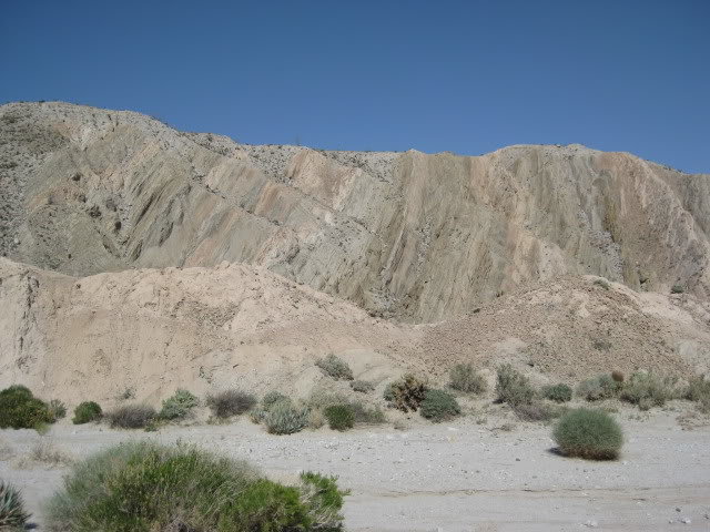 310Borrego063_5fbaae4c1ce36c2eb2b7ec3707eb47598c6370e8.jpg