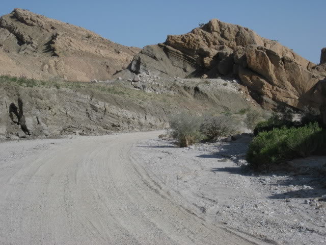 310Borrego065_7f66e2f82e6f1b60fb62c9dd10633852895f7556.jpg