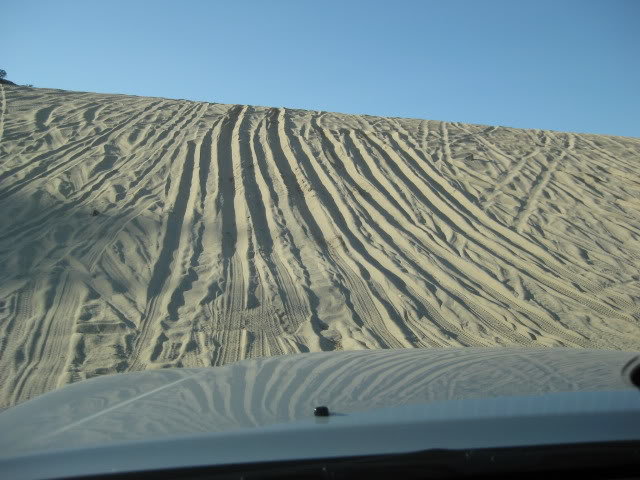310Borrego070_8af134d86e879ee6ad31b3e76163cad142ad96a1.jpg