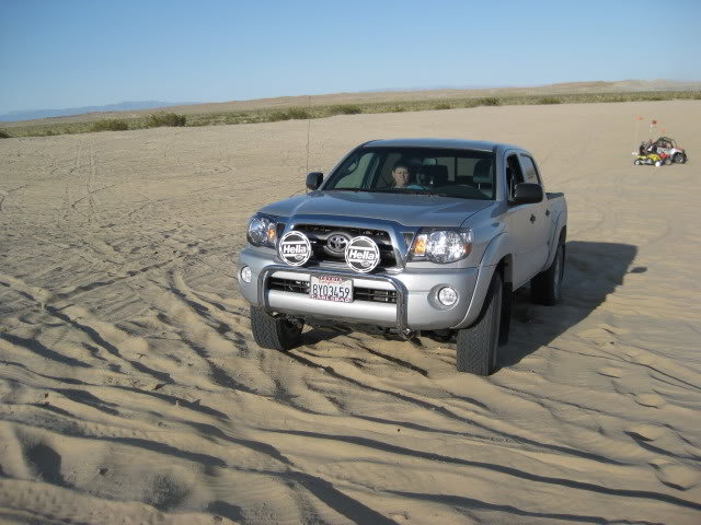 310Borrego073_0363a0e4b2fab88d1c1ff96610ce98dc5a8390c8.jpg