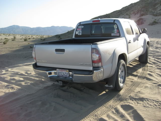 310Borrego075_b9a1f6287626ff620430388db8fd2b675d269e35.jpg