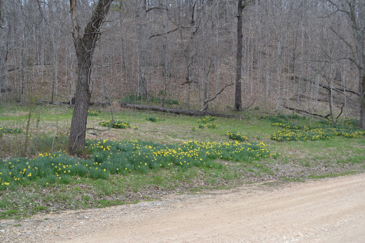 31496E81-EF87-462F-A4AB-BE61A2013636.jpg