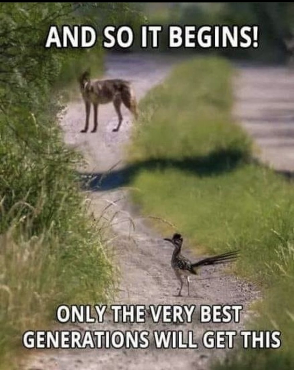 31573894-9497-4ACD-9D10-7A1C3970EB59.jpg