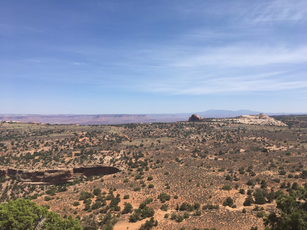 31D1C9DF-73C0-4AB3-AE32-C62AD9F00985.jpg