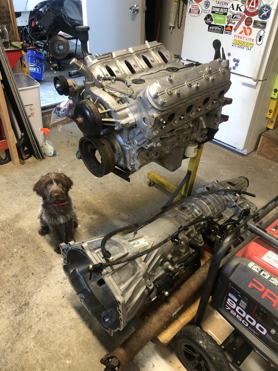 31F8F4AE-82DA-4C8F-AC82-37E682F1FA82.jpg