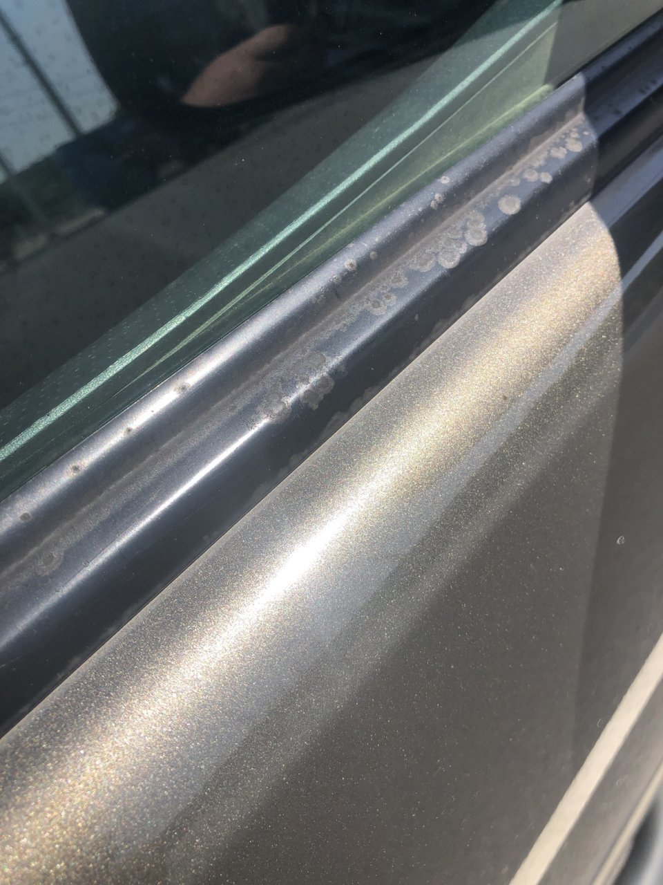 Professional Plastic Trim Restoration With Solution Finish