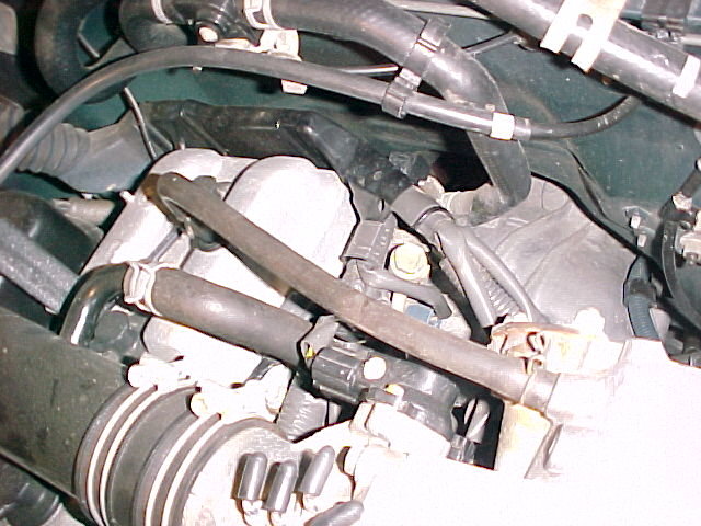 325885-Mvc-023f_a89caa2b93bfb58d70050831ade16c0495a77f30.jpg