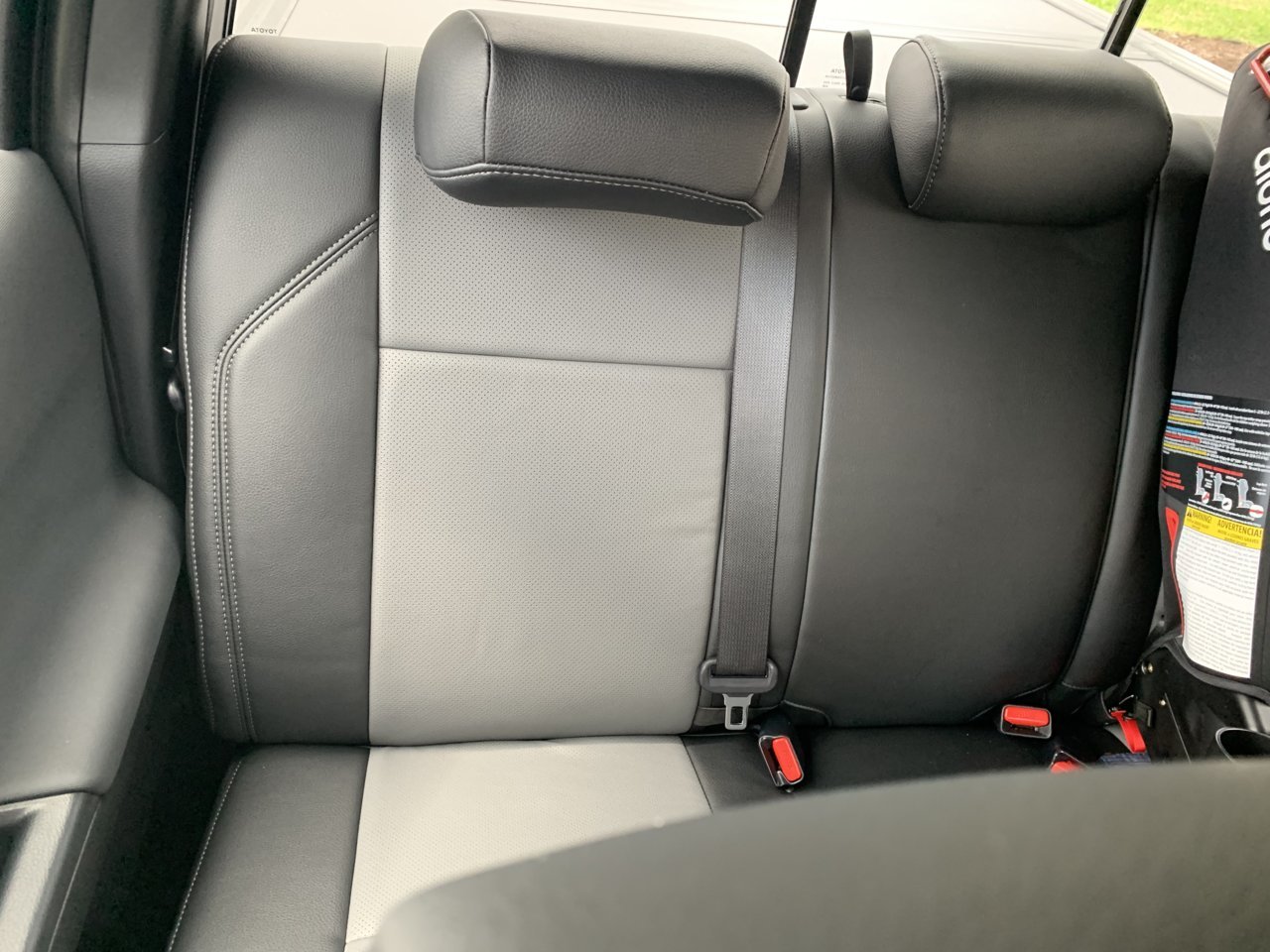 Clazzio leather seat covers! | Page 257 | Tacoma World