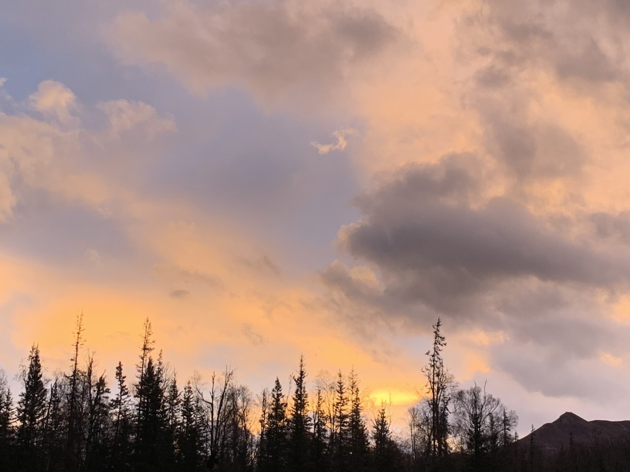 329A9199-61C6-46E6-AB48-8C820938EE95.jpg