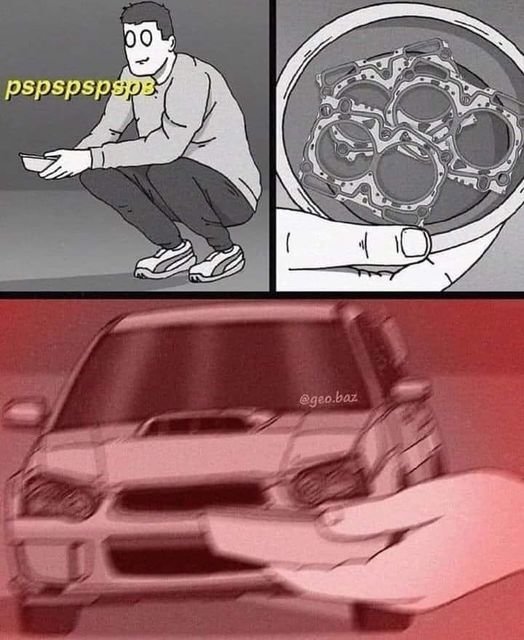 330838594_1243645313223964_8458155983504_e7c50f8154f52dd70e4b9f21227ecb904e69af4a.jpg