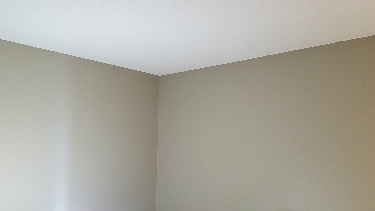 334000F5-71AE-4BA3-9973-85C7C121C7C7.jpg