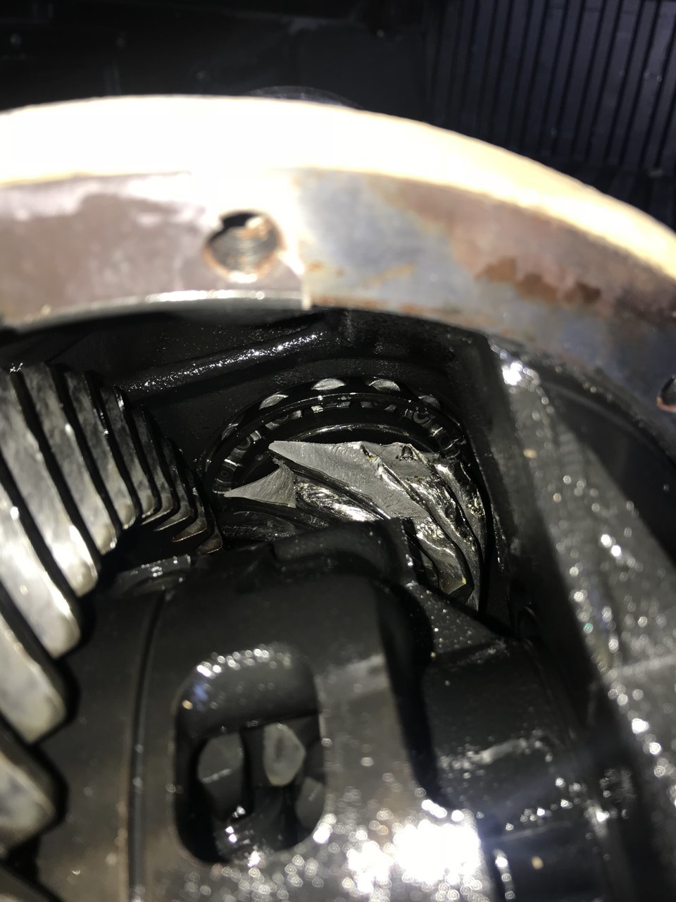 335EB828-09E7-4079-A8C7-B0E5BA3F7E2C.jpg